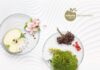 Mibelle Biochemistry Introduces Innovative Active Ingredient for Advanced Skin Regeneration