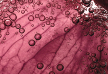 Symrise Launches New Care & Wellness Division to Expand Integrated Health and Beauty Portfolio